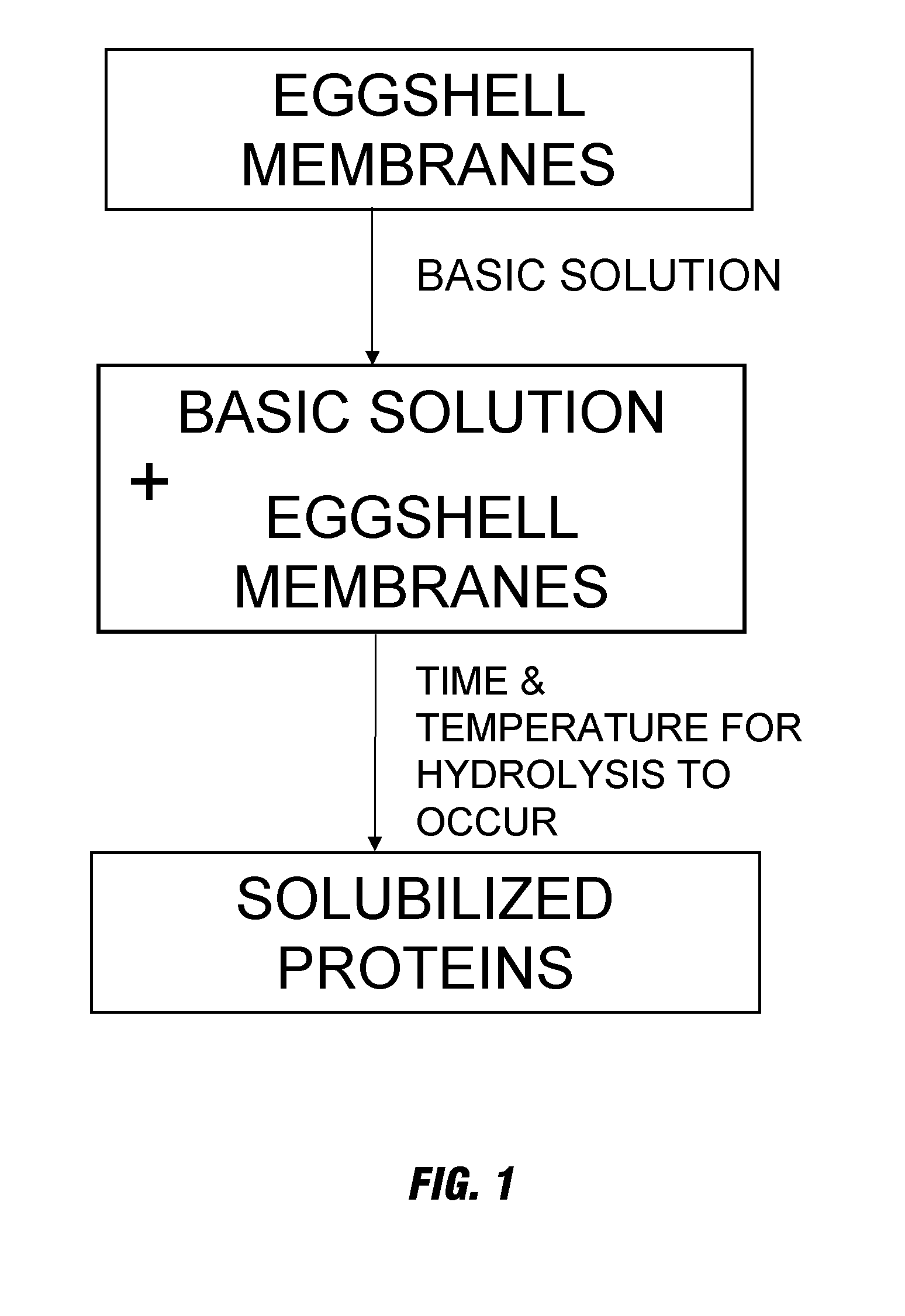 Novel process of solubilizing protein from a proteinaceous material and compositions thereof