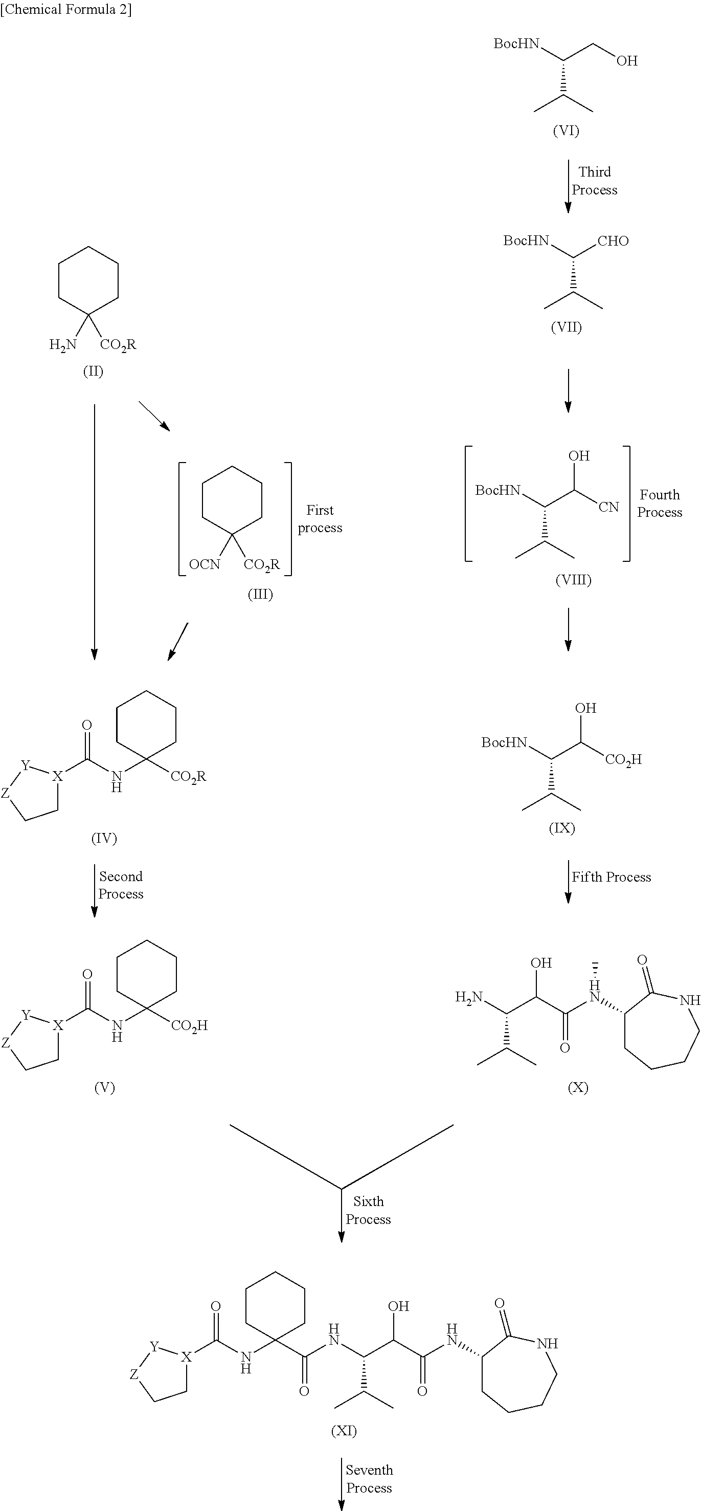 Alpha-oxoacyl amino-caprolactam body