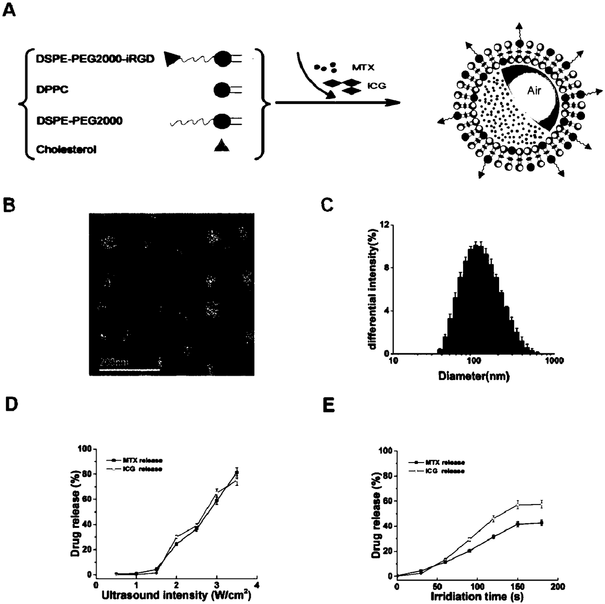 Targeted fluorescent liposome based on low-frequency ultrasonic response, preparation method of liposome and application