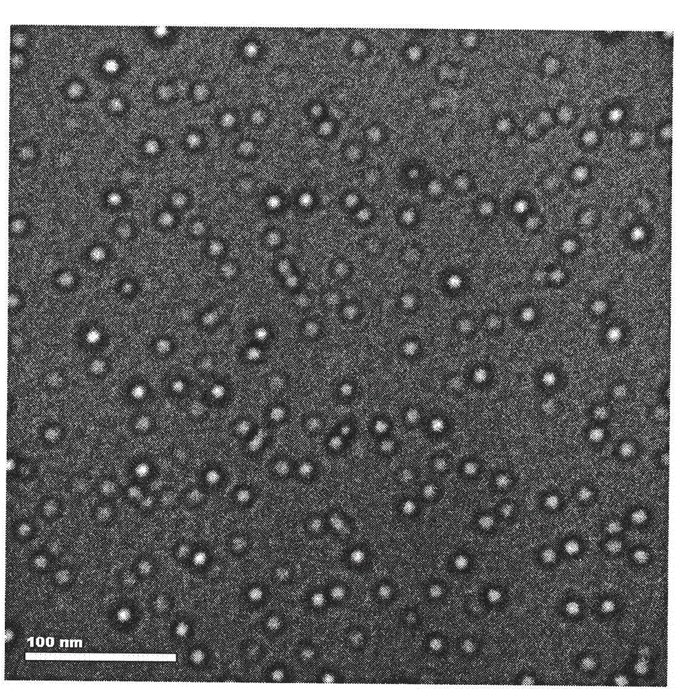 Method for preparing nanoliposomes by supercritical CO2 fluid