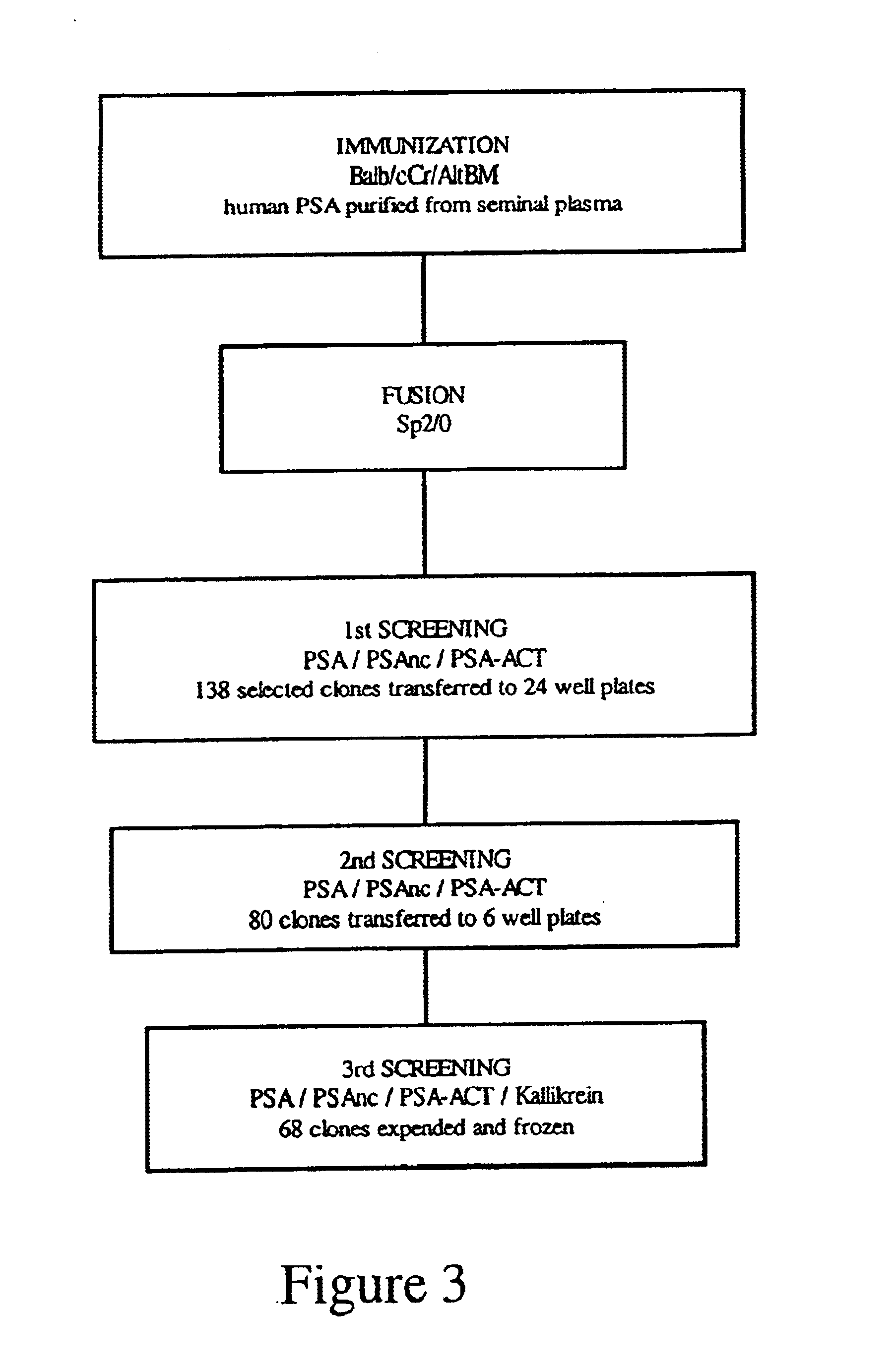 Reagents and methods for inducing an immune response to prostate specific antigen