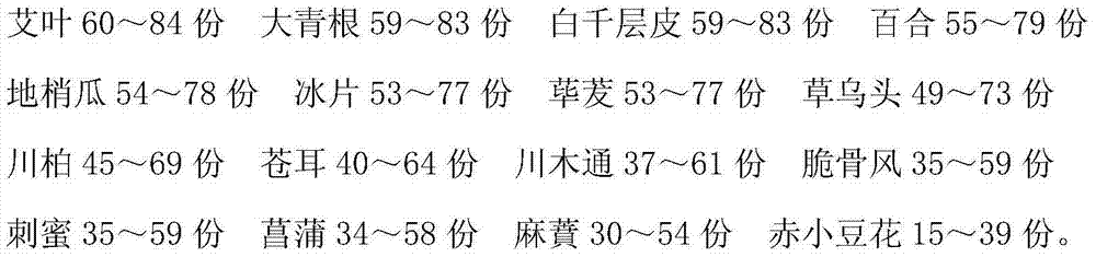 Chinese medicament preparation for treating daftness and preparation method thereof