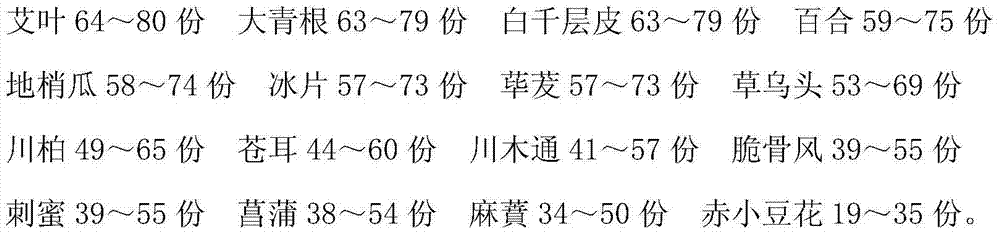 Chinese medicament preparation for treating daftness and preparation method thereof