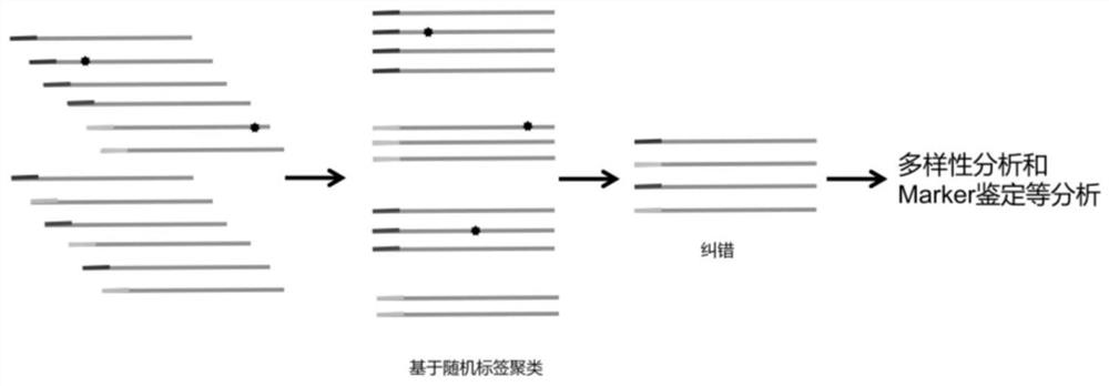 Quantitative 16S metagenome sequencing method