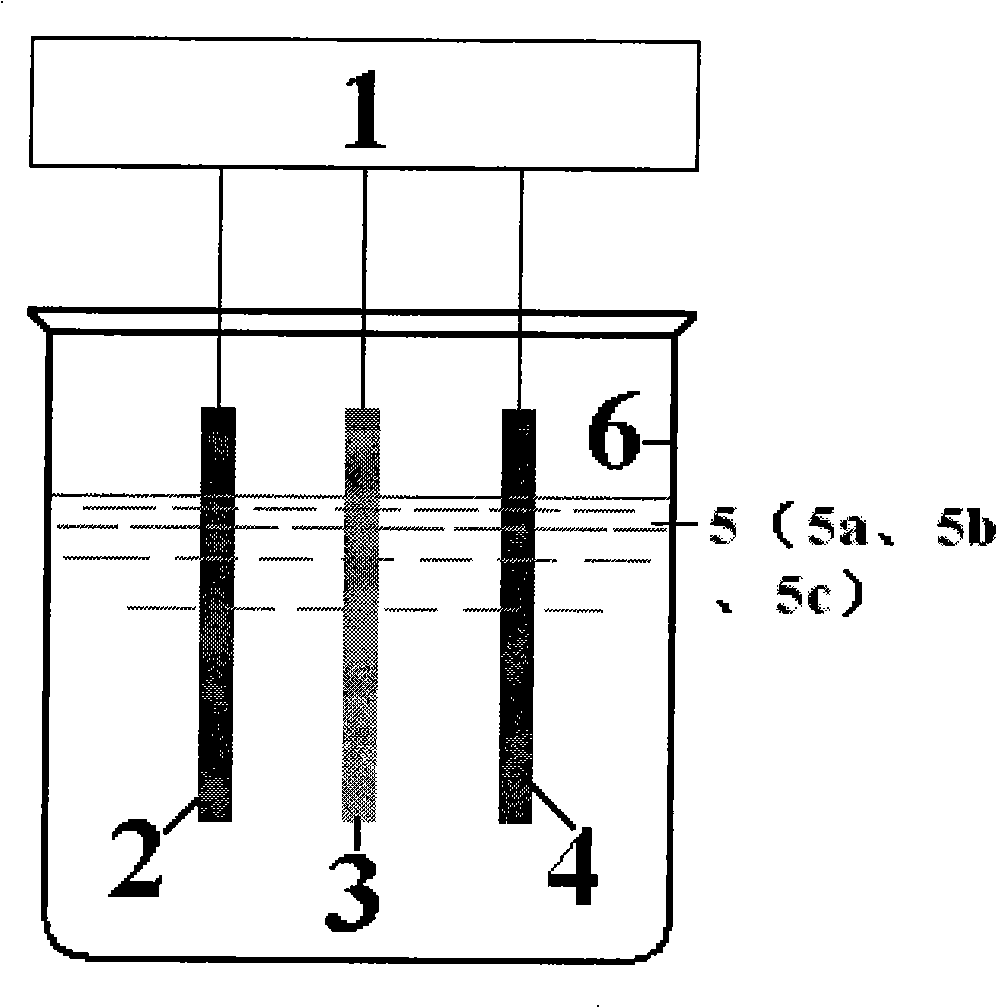 Method for preparing platinum nanometer perforated electrodes with electrodeposition