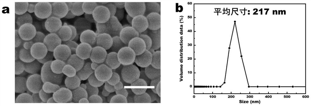 High-stability and high-flux polydopamine nanoparticle modified membrane as well as preparation method and application thereof