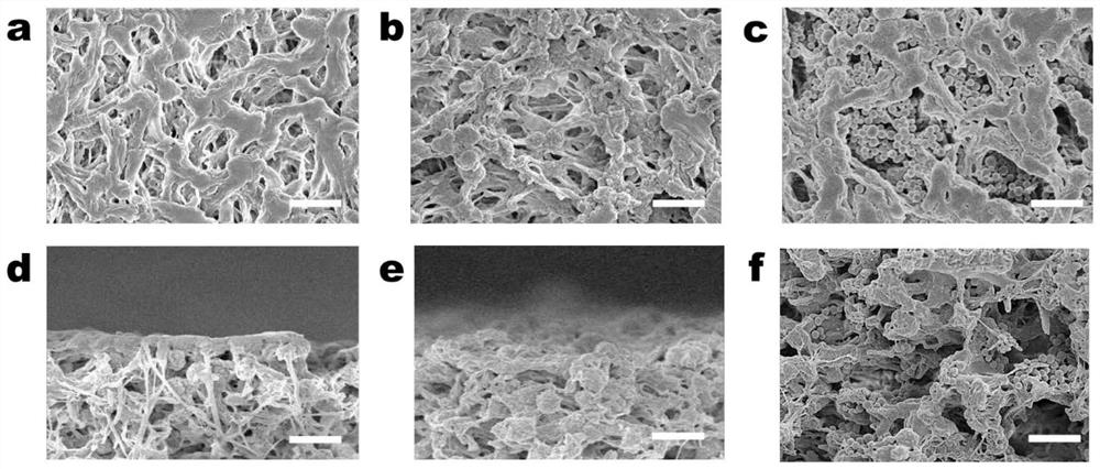 High-stability and high-flux polydopamine nanoparticle modified membrane as well as preparation method and application thereof