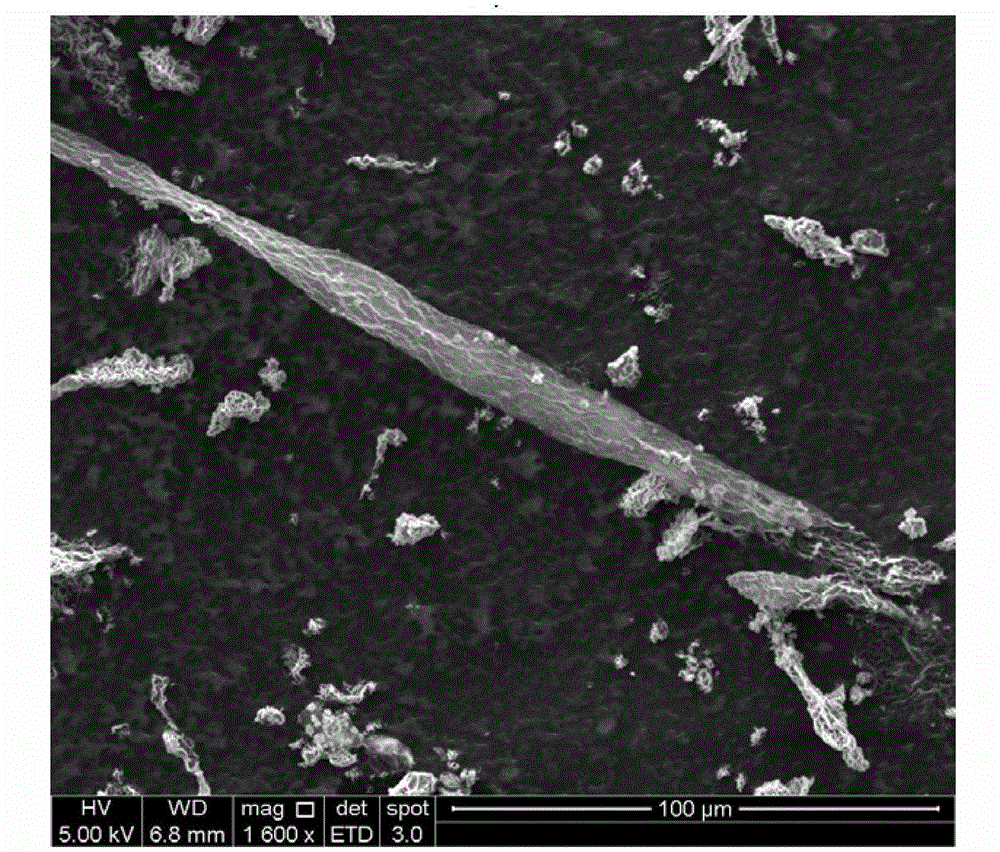 Preparation method of graphene roll