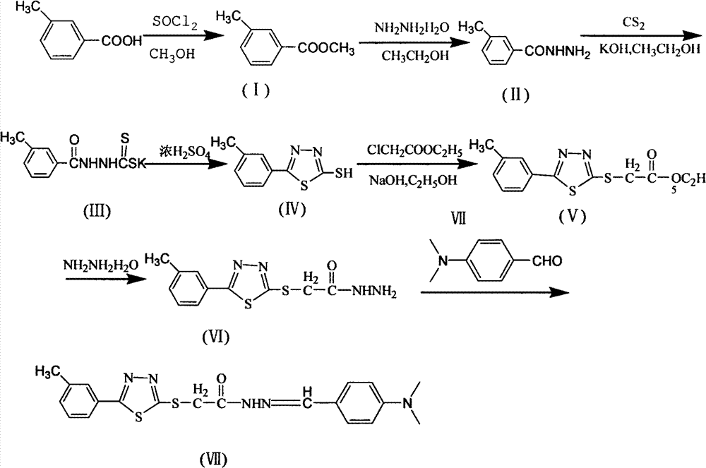 Disubstituted thiadiazole compound, preparation method and application thereof