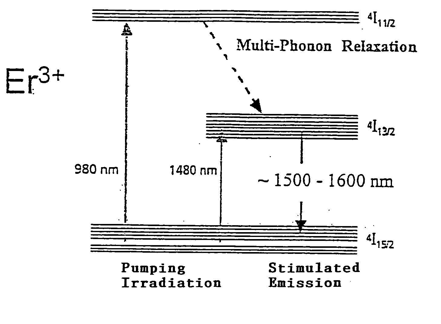 Bismuth oxide glass and process of making thereof