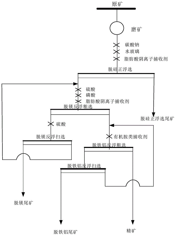 Process for direct flotation and double reverse flotation of low-grade collophanite