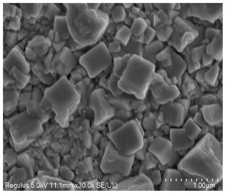 Tantalum surface calcium-doped sodium tantalate bioactive layer and preparation method thereof