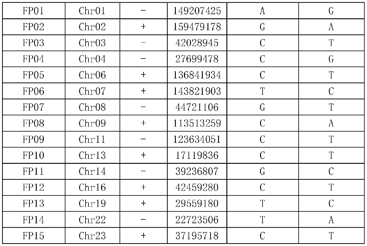 Primer combination and kit for identifying flue-cured tobacco Bina No. 1, application and detection method