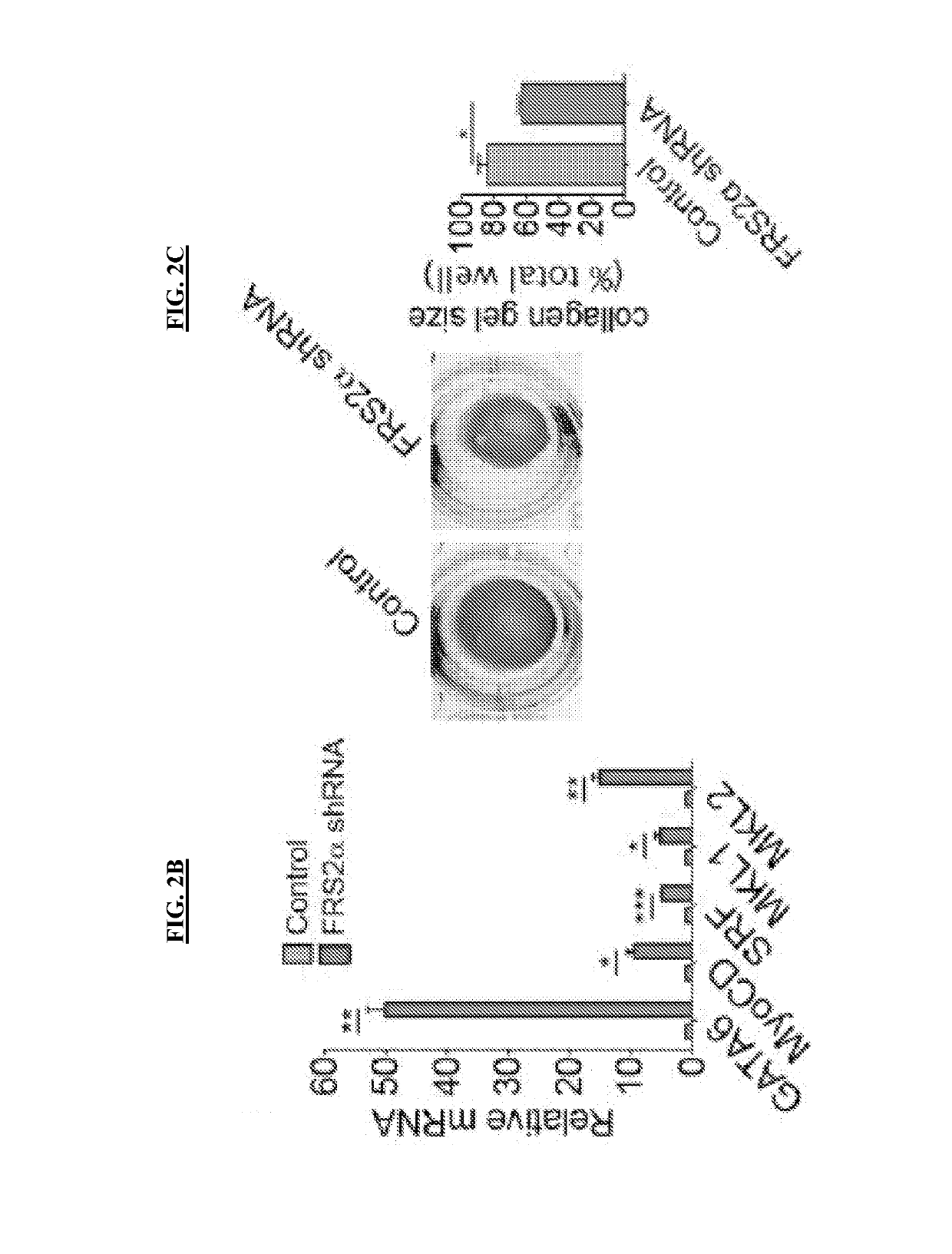 Methods and compositions for treating atherosclerosis
