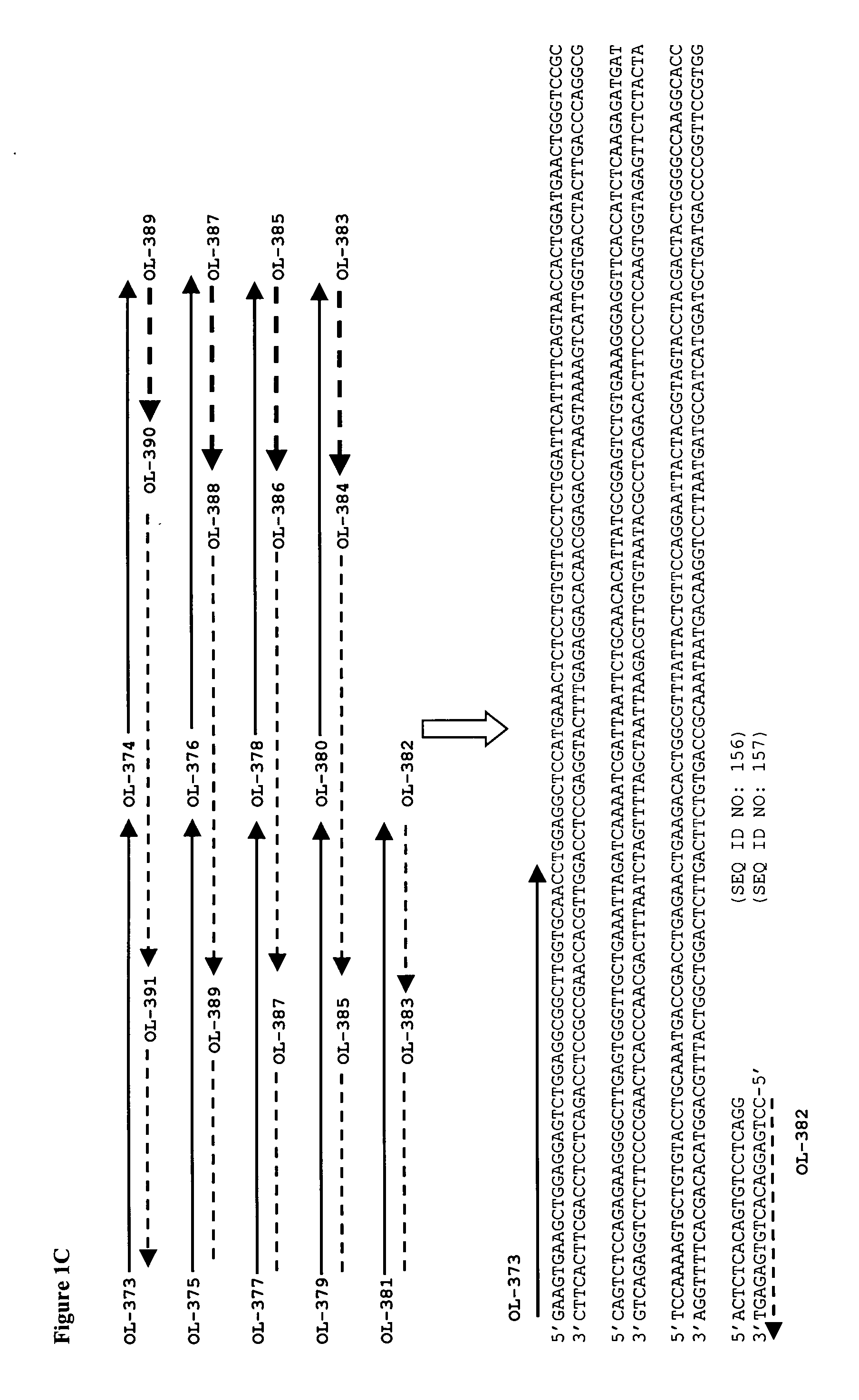 TNF alpha-binding polypeptide compositions and methods