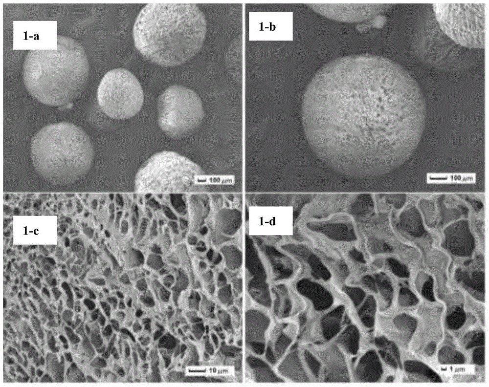 A kind of preparation method of chitosan-based porous microsphere
