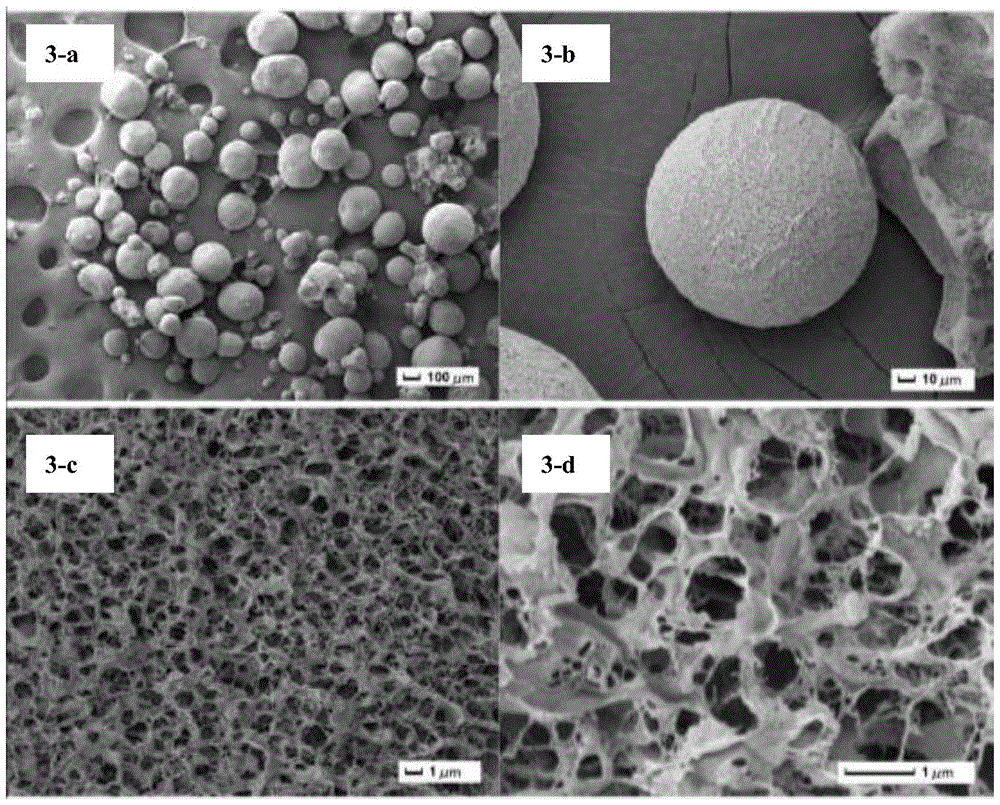 A kind of preparation method of chitosan-based porous microsphere