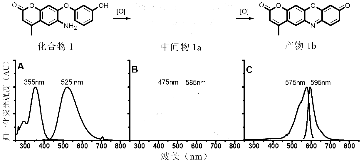 Reagent and method for detecting biological endogenous oxidants