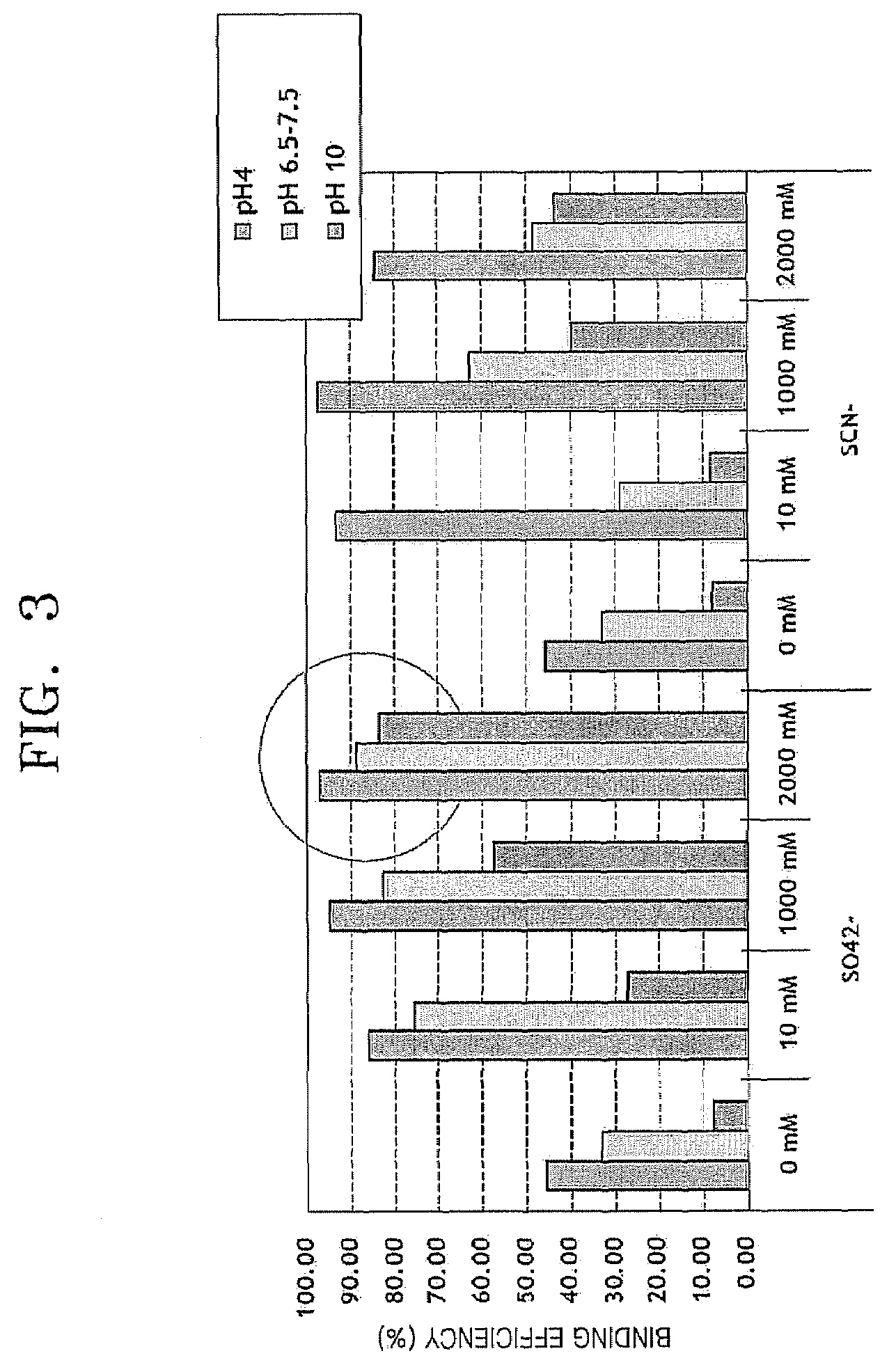 Method and apparatus for purifying nucleic acid on hydrophilic surface of solid support using hydrogen bonding