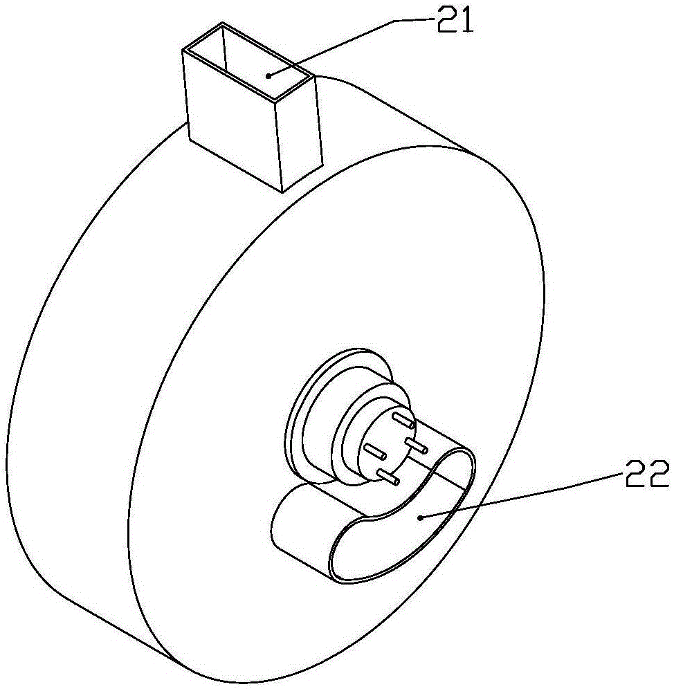 Multidimensional colla corii asini and walnut drink and production process thereof