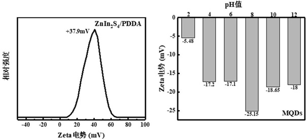 MXene quantum dot sensitized poly (diallyldimethylammonium chloride) modified indium zinc sulfide photocatalyst as well as preparation and application thereof