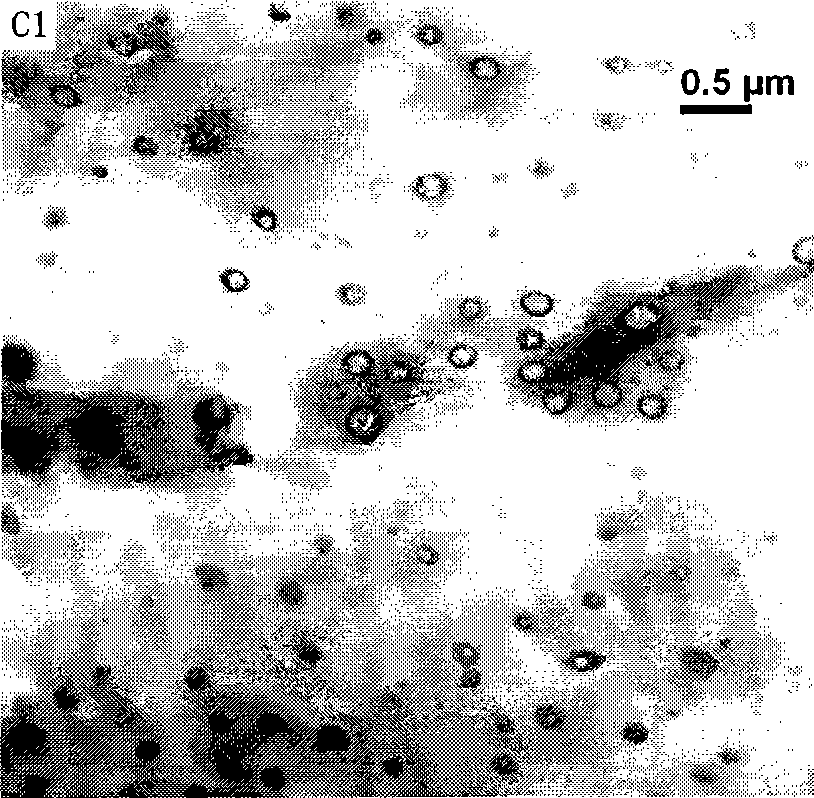 Hollow polymers capsules with meso-porous shell and preparation method thereof