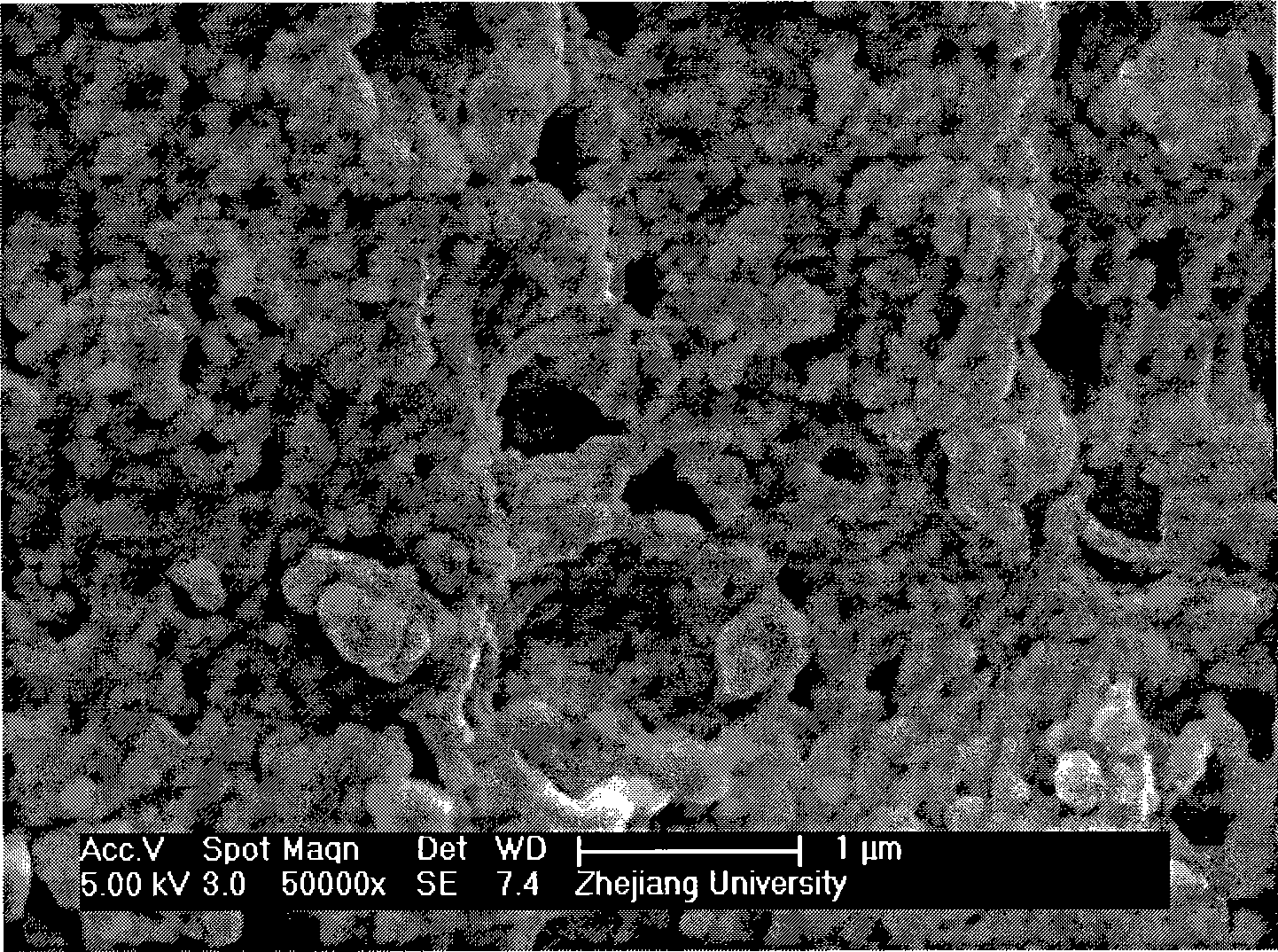 Hollow polymers capsules with meso-porous shell and preparation method thereof