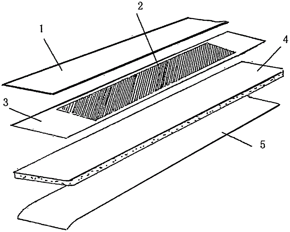 Disposable helmet size adjustment patch capable of absorbing sweat