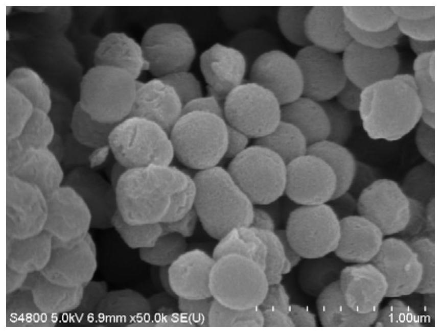 Preparation method and application of magnetic mesoporous titanium dioxide composite material