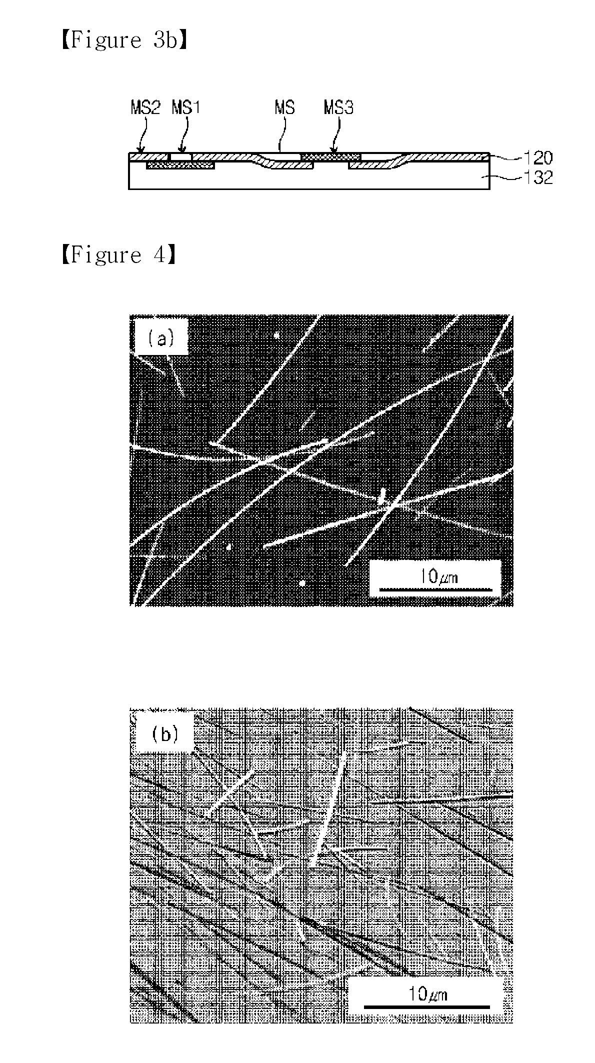 Substrate Including Nano/Micro Structure, Method for Manufacturing the Same, Method for Refining Nano/Micro Structure, Method for Manufacturing Nano/Micro Structure Network, and Manufacturing Apparatus Therefor