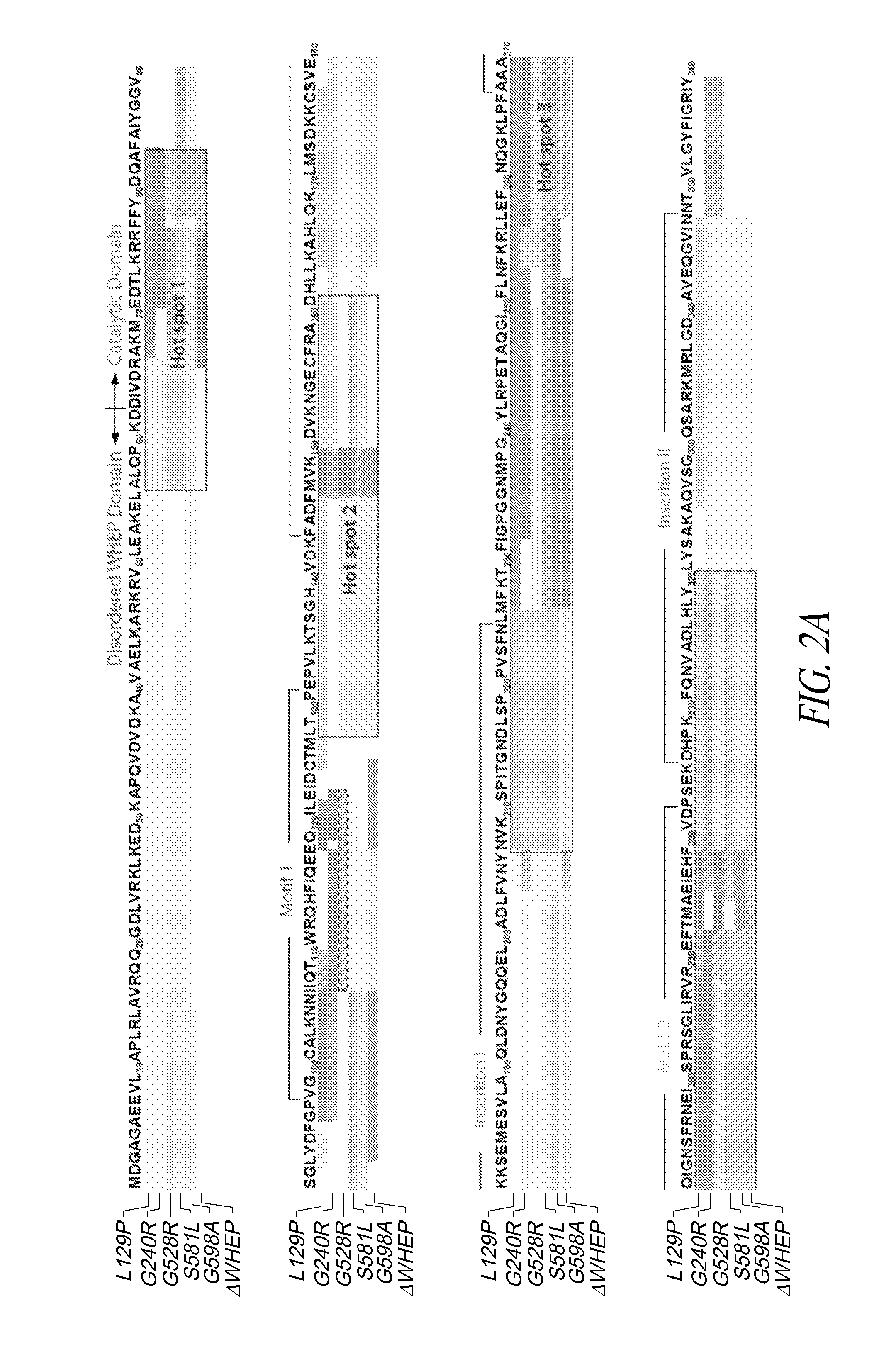 Compositions and methods for treating charcot-marie-tooth diseases and related neuronal diseases