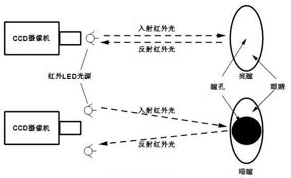 Television terminal intelligent control system and television terminal intelligent control method