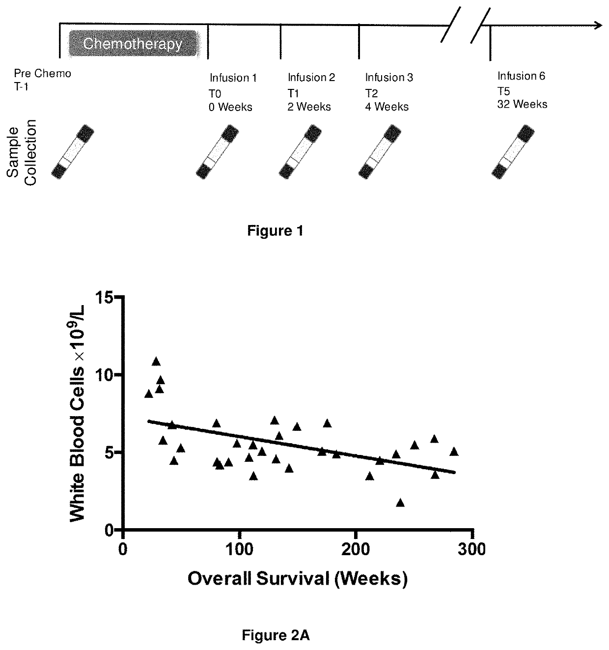 Method for treating epstein-barr virus - positive cancer with immunotherapy