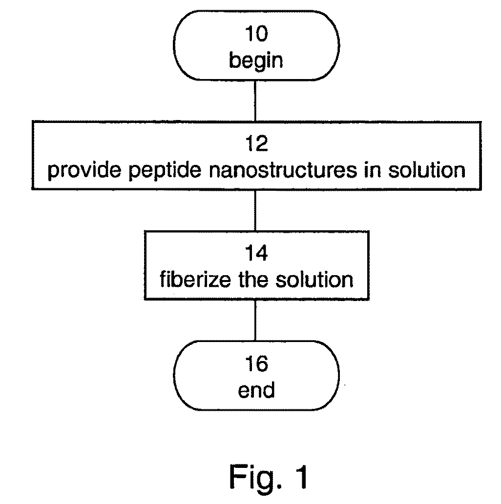 Articles of peptide nanostructures and method of forming the same