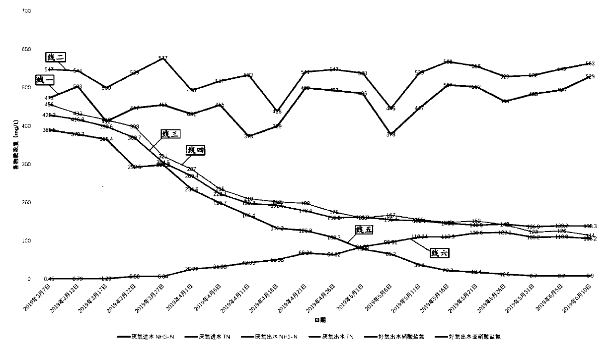 Anaerobic ammonia oxidation denitrification and phosphorus removal system and method