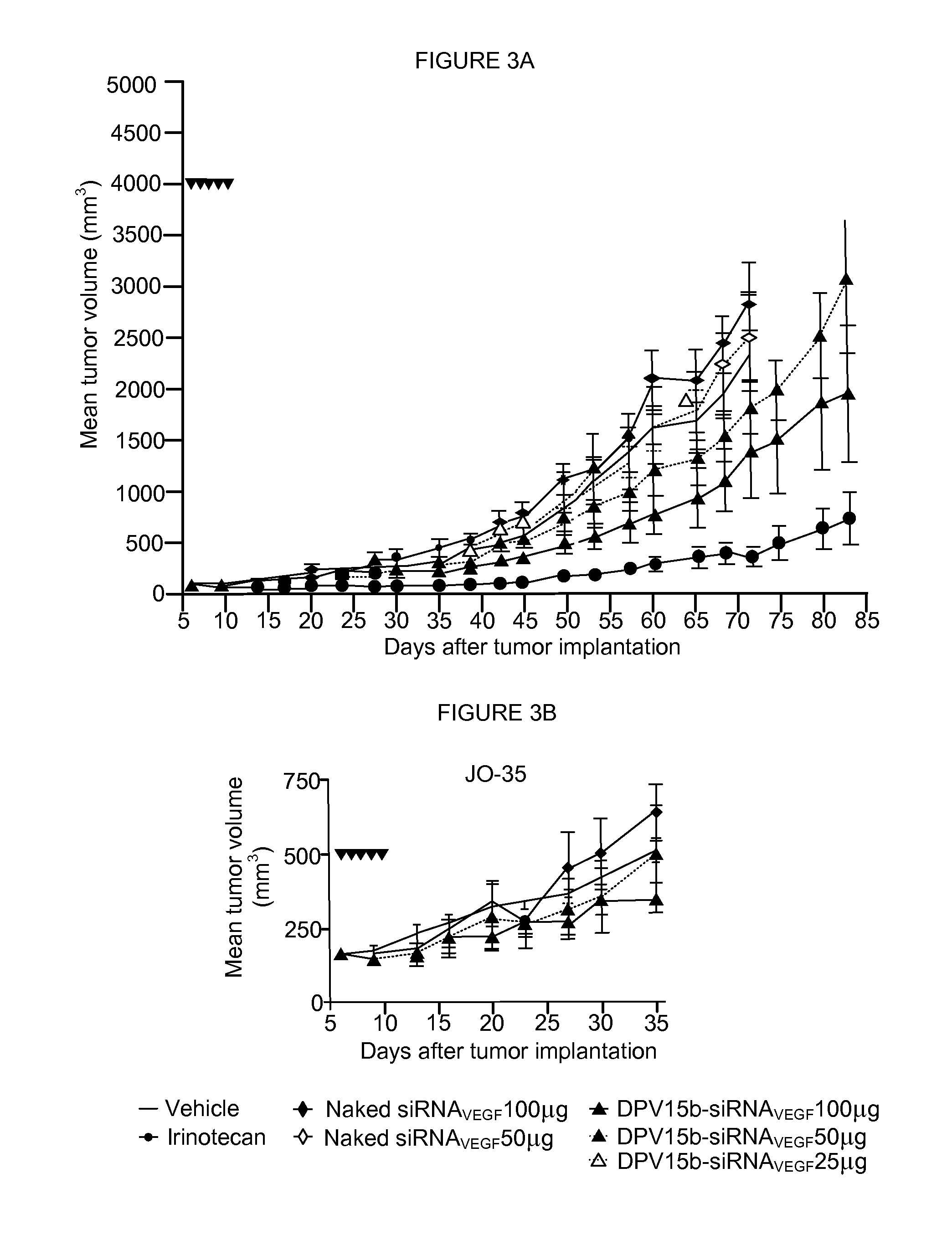 Cell penetrating peptide conjugates for delivering of nucleic acids into a cell