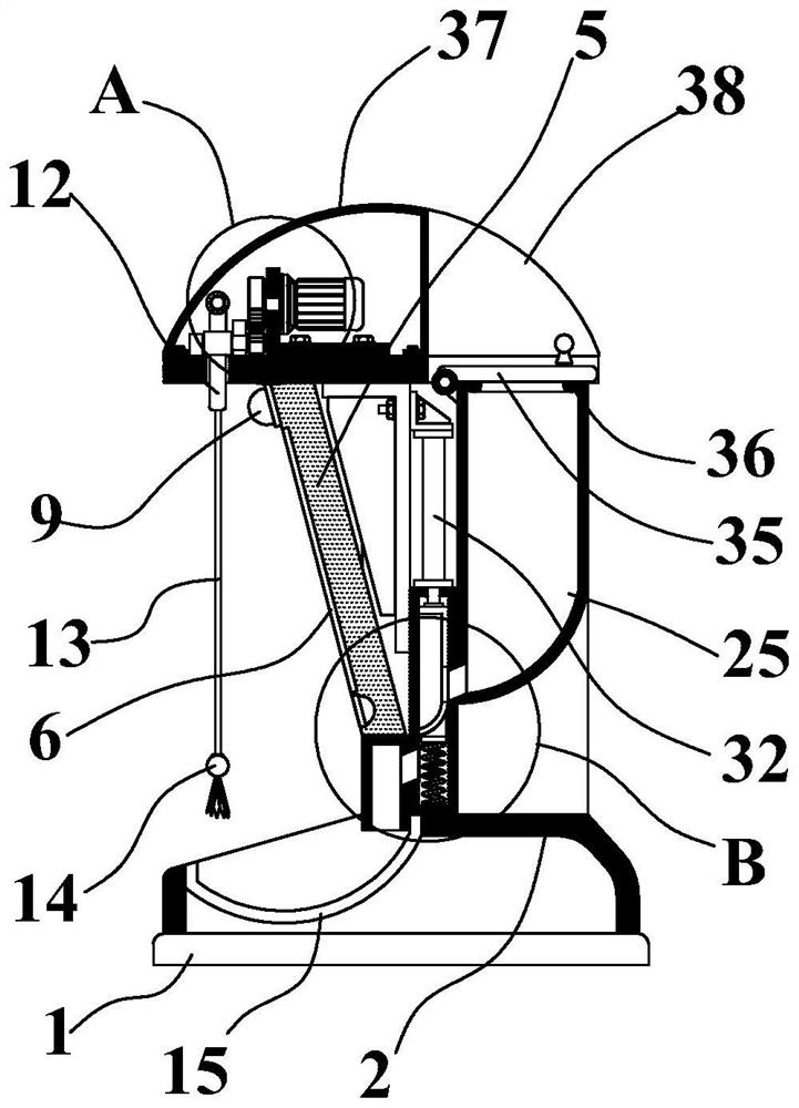 A remote visual appeasement device and method for pets