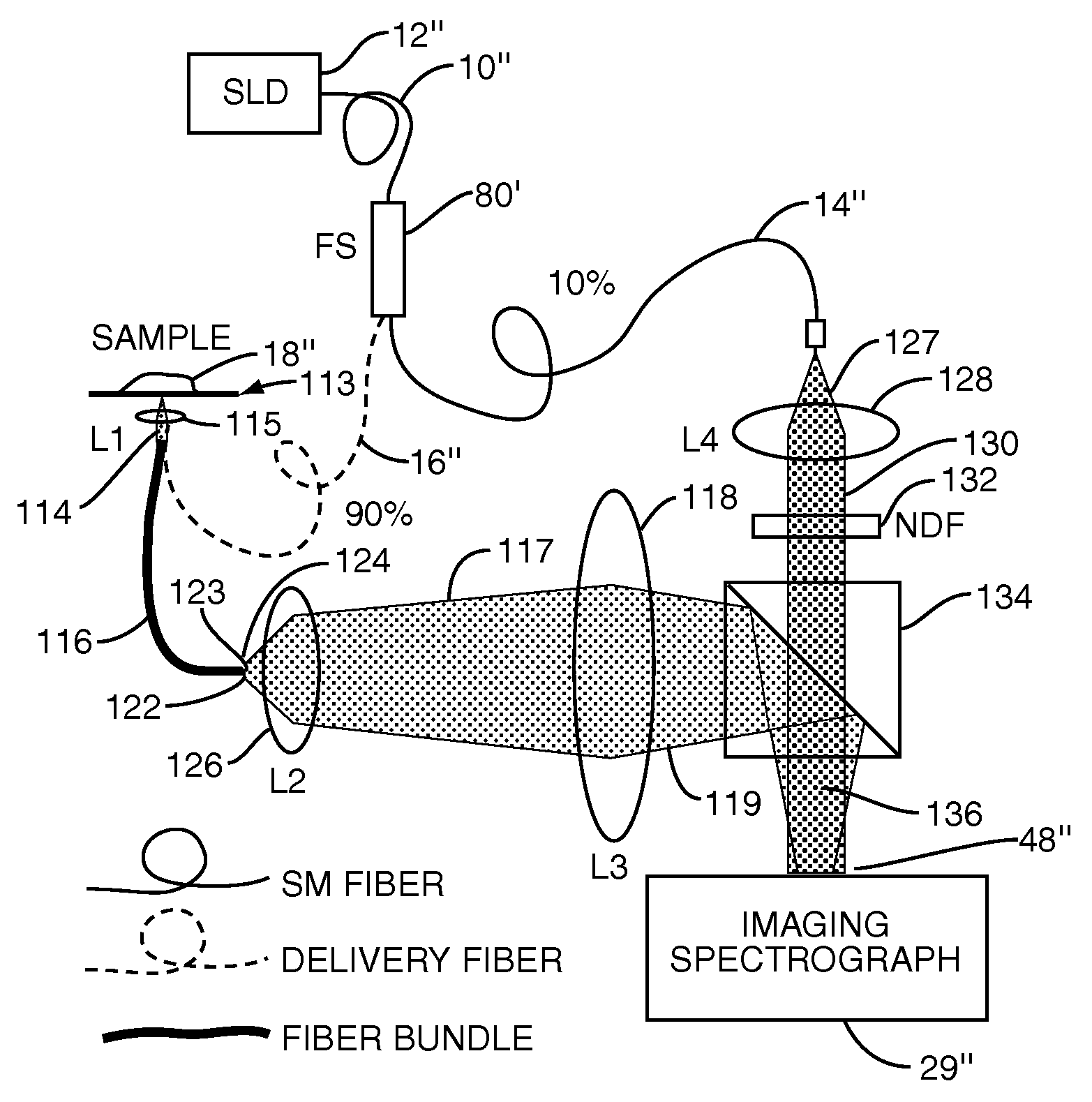 Systems and methods for endoscopic angle-resolved low coherence interferometry