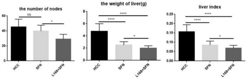 Application of lactobacillus plantarum L168 in assisting sorafenib in treating liver cancer