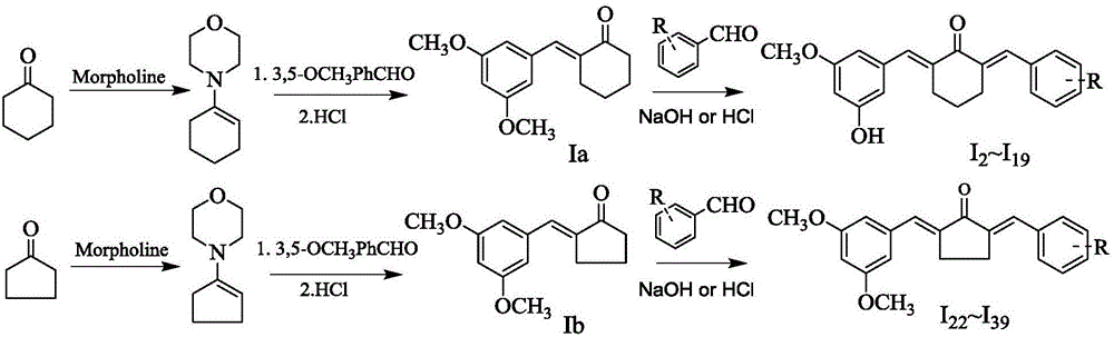 Novel application of (2E,6E)-2-(3,5-dimethoxy phenylidene)-6-(4-chlorphenyl methylene)cyclohexanone and derivative thereof