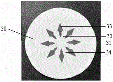 Paper-based microfluidic immunosensor chip and on-site immunoassay platform for timely detection