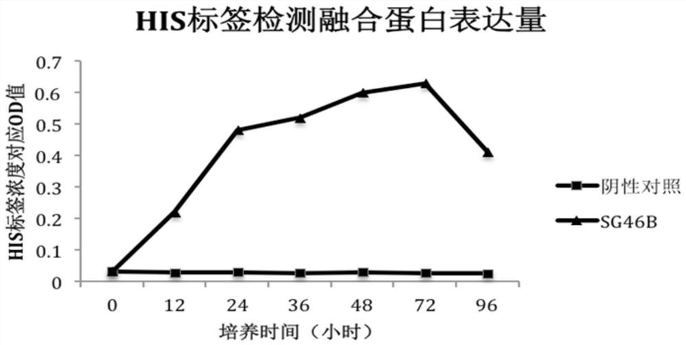 Preparation and application of recombinant yeast preparation co-expressed with bovine antibacterial peptide and interleukin 4/6