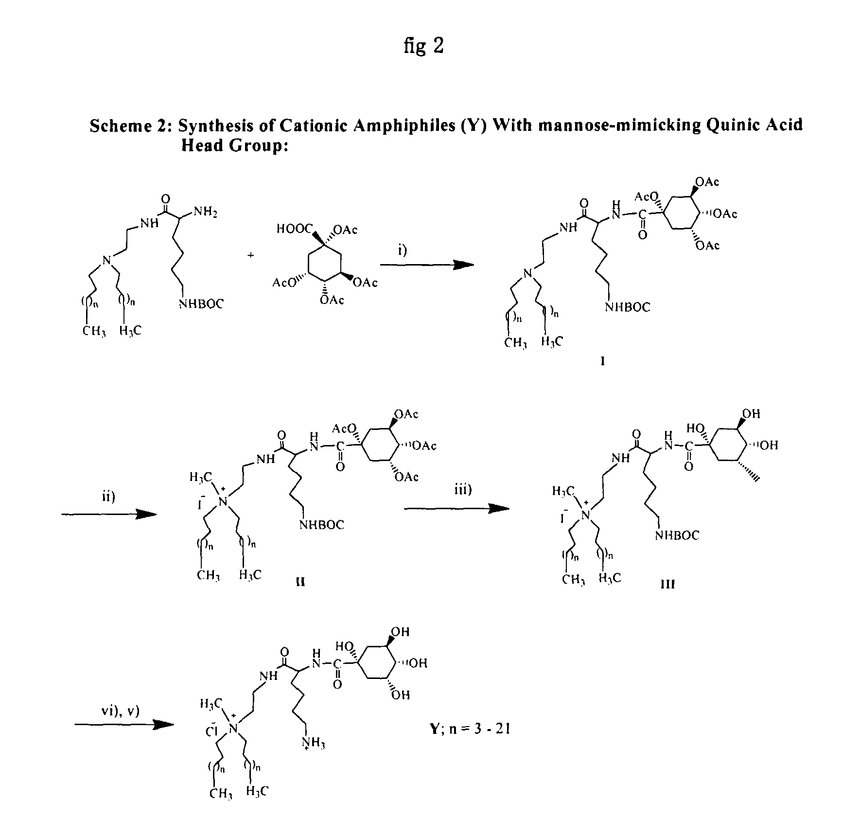 Cationic amphiphiles with mannose-mimicking head-groups and a process for the preparation thereof
