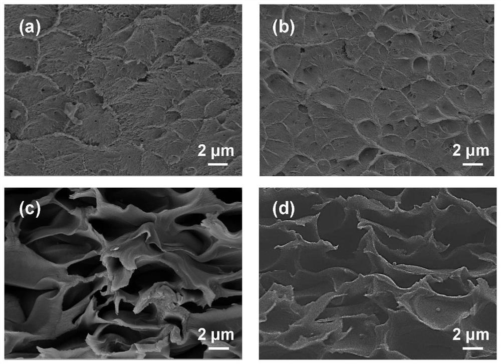 Novel C2NxO1-x/PIM-1 mixed matrix membrane and preparation method and application thereof