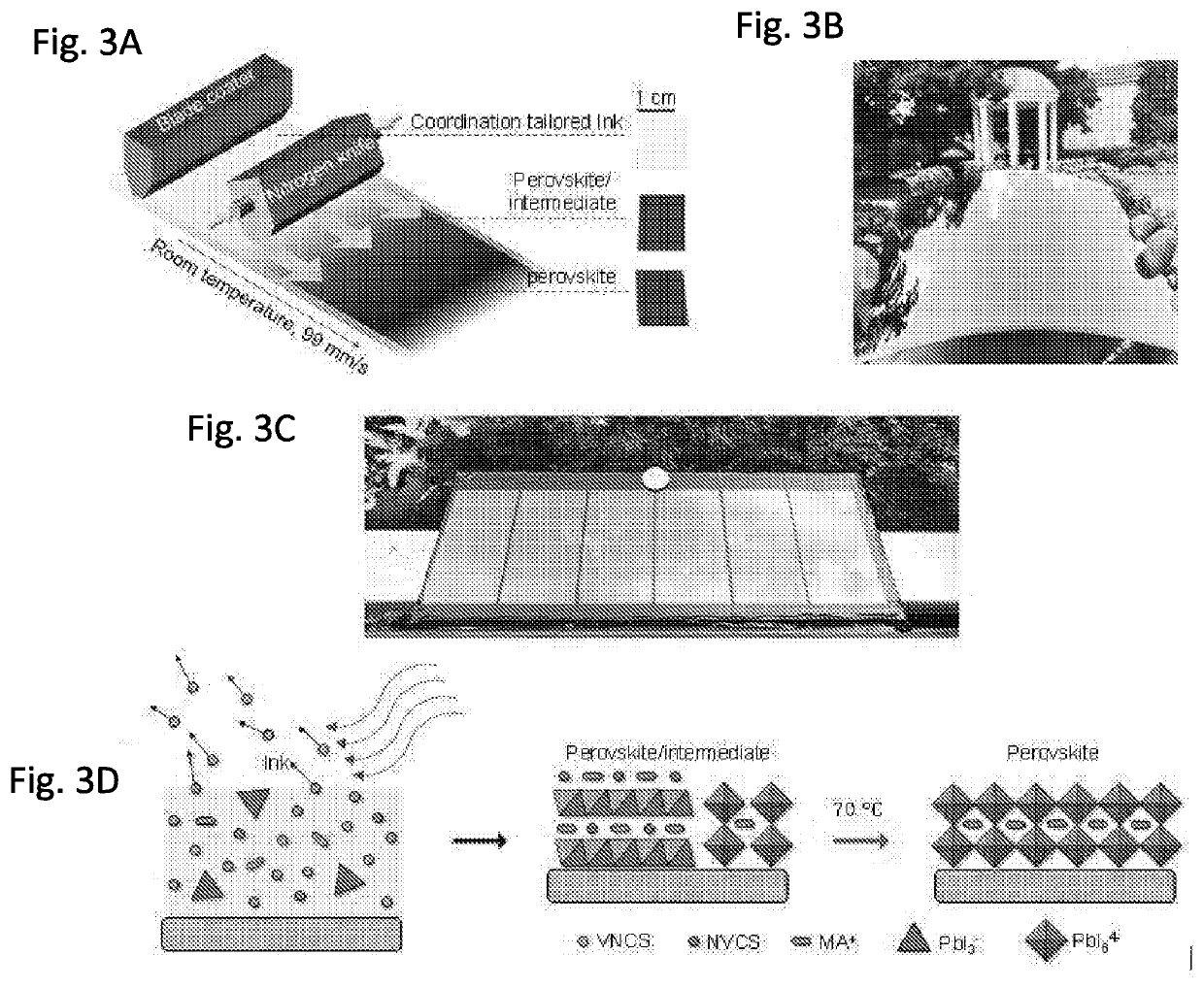 Perovskite compositions comprising mixed solvent systems