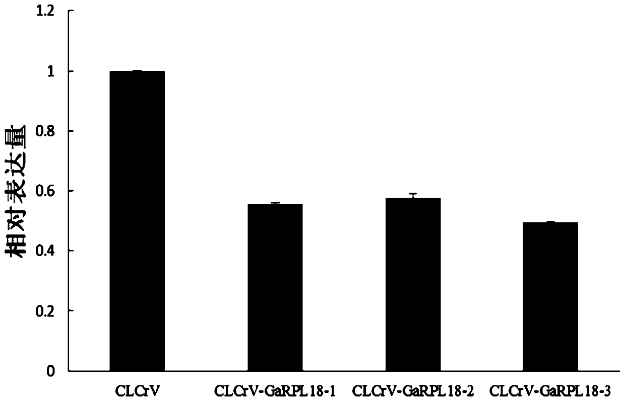 Cotton verticillium wilt resistance related protein garpl18 and its coding gene and application