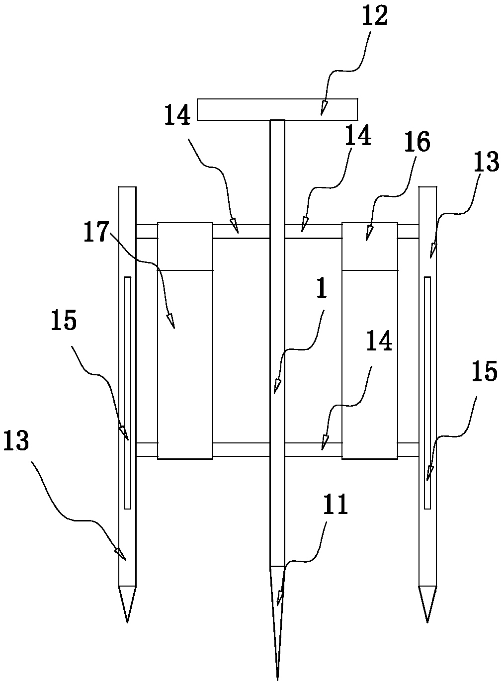 Rice seedling fixer and field placing device