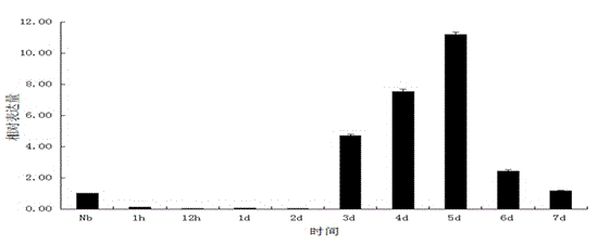 Application of septin1 gene to detection of nosema bombycis