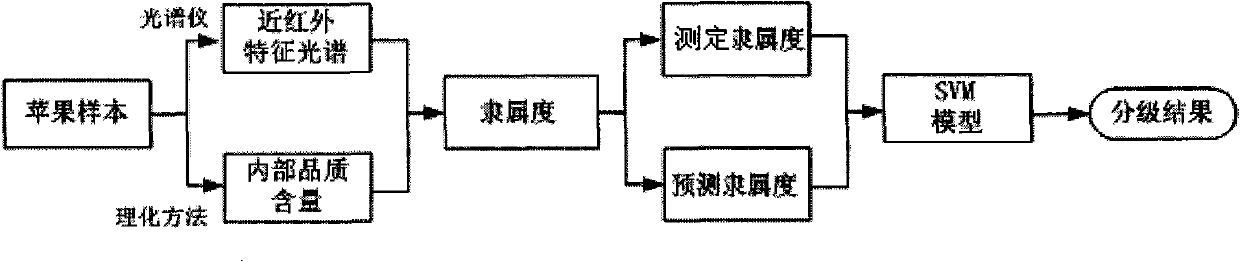 Method for detecting and grading internal quality of fruits