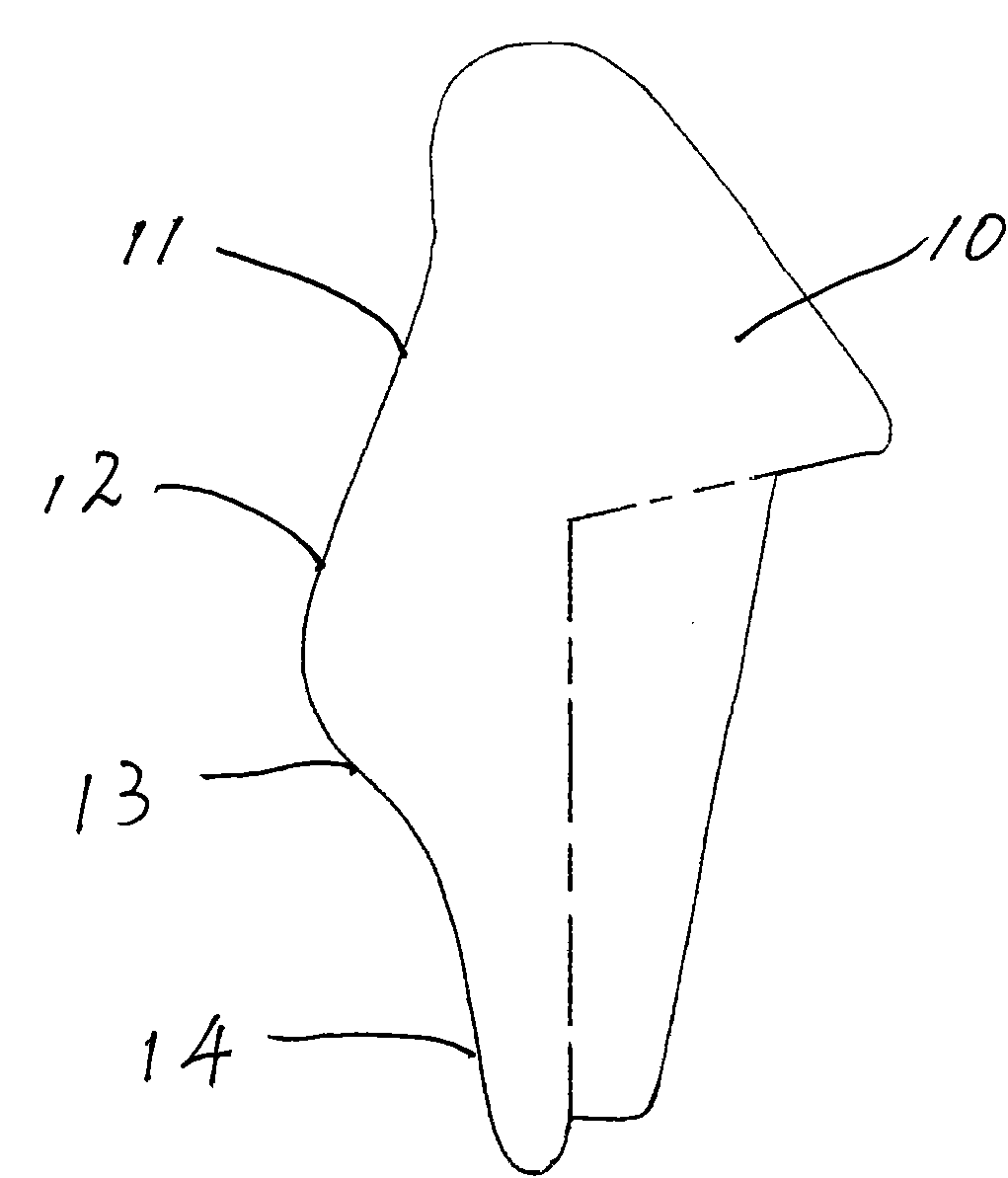 Automobile seat headrest fitted with body curve